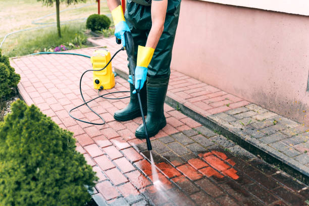Best Fence Pressure Washing  in Treasure Island, FL