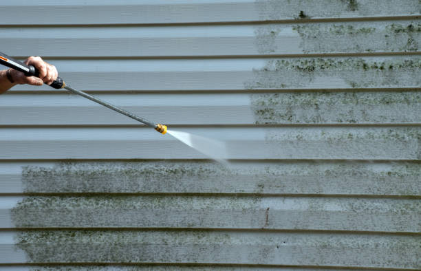 Best Deck Cleaning Services  in Treasure Island, FL