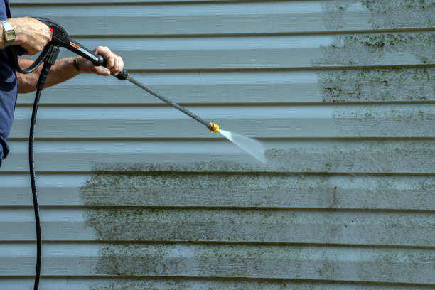 Best Commercial Building Pressure Washing  in Treasure Island, FL