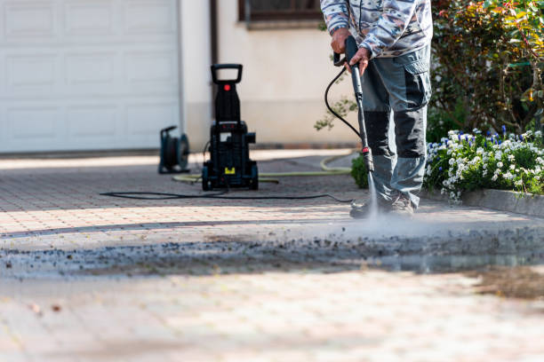 Best Roof Power Washing Services  in Treasure Island, FL