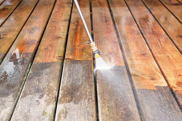 Best Garage Pressure Washing  in Treasure Island, FL